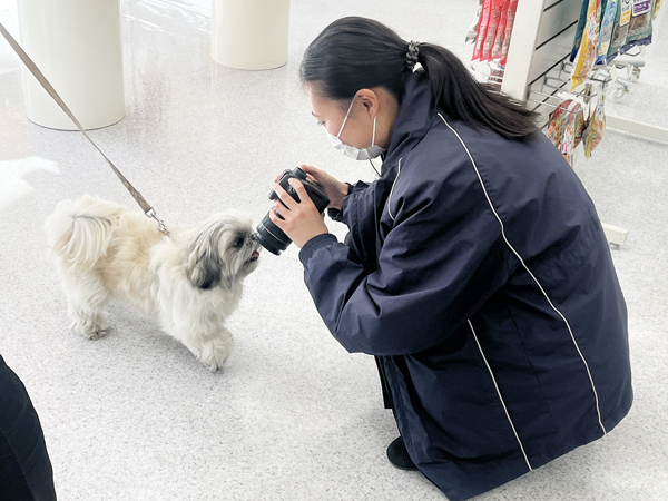 モデル犬の里帰り♪～すあまちゃん～